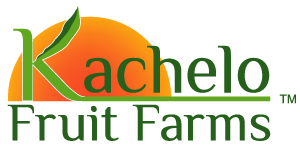 Kachelo Fruit Farms